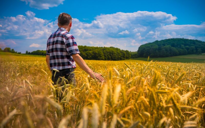 ustawa o kształtowaniu ustroju rolnego - KRUS w ramach ustalonego prawa do kontynuowania ubezpieczenia we wspólnym gospodarstwie domowym - poradnik